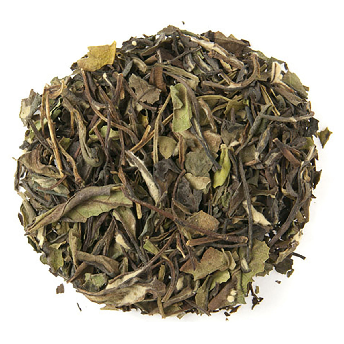 Tea ball made of green tea leaves on a white background