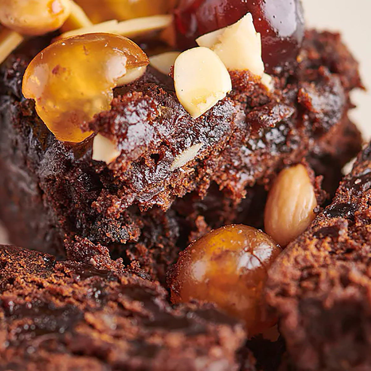 Close-up of chocolate brownie with nuts and cherries