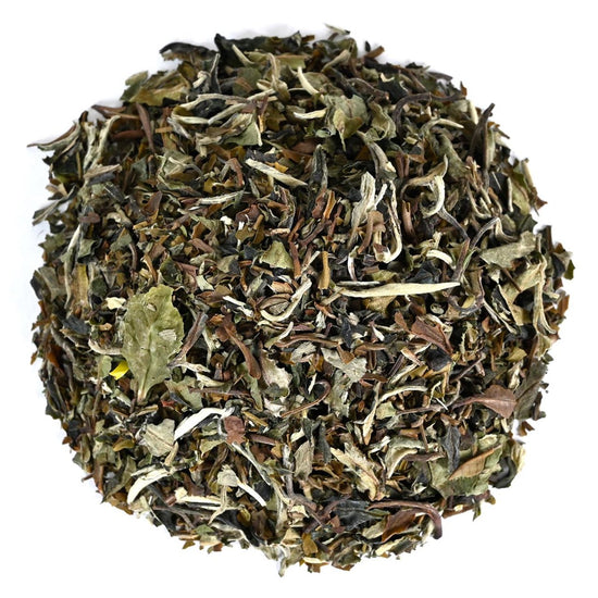 Pile of green tea leaves of various shades of greeon a white background
