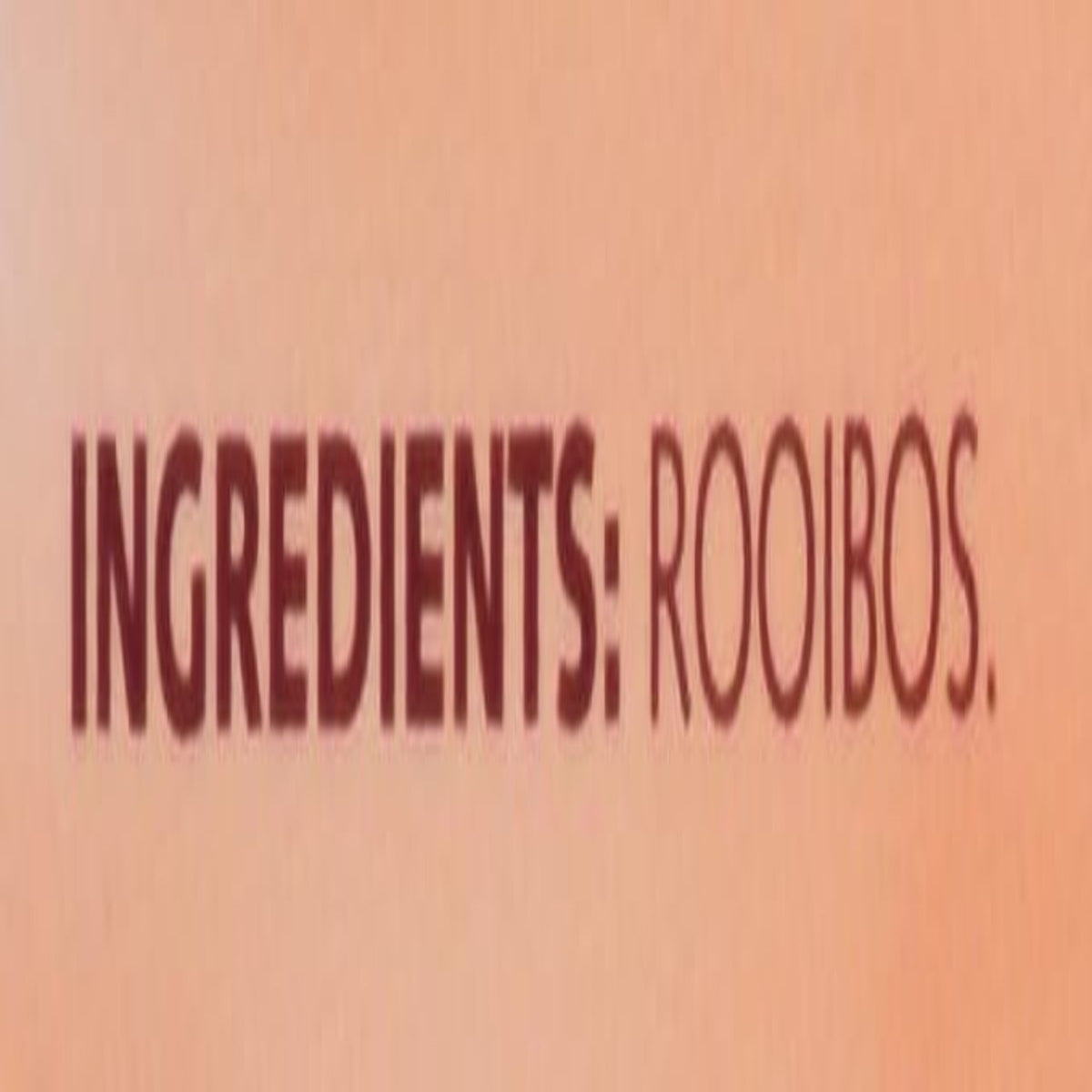 Text 'INGREDIENTS: ROOIBOS' on a peach-colored background