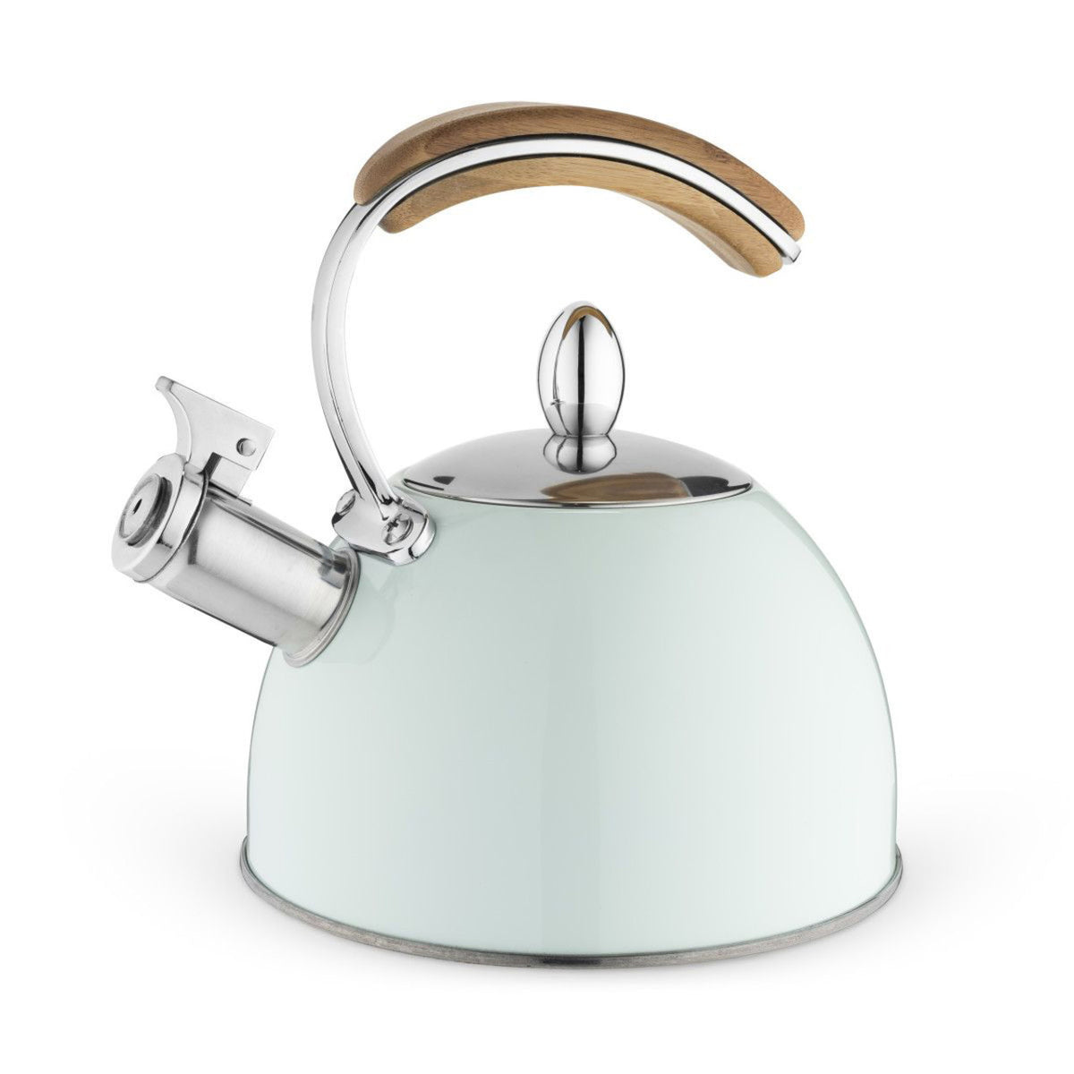 Light blue kettle with a wooden handle on a white background