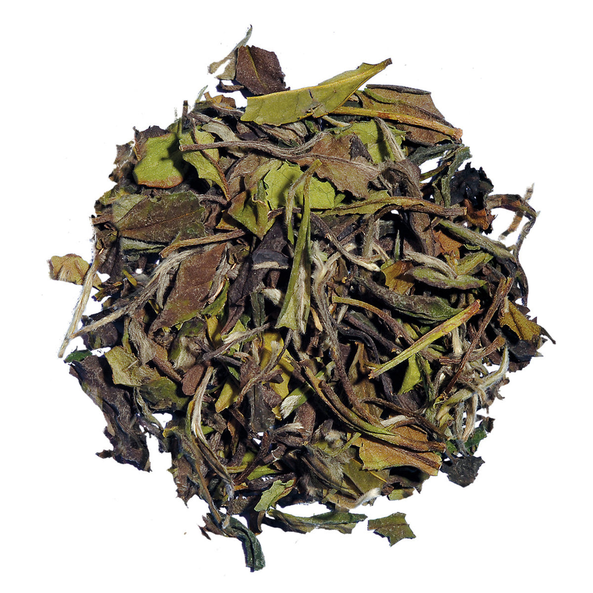 Dry tea leaves on a white background
