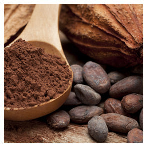Close up picture of coco beans and cocoa powder