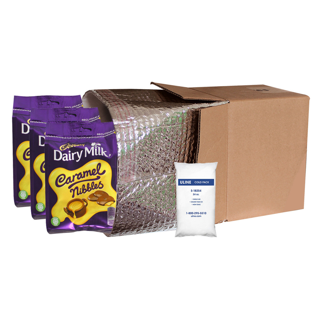 Small Insulated Shipping Liner With Cold Gel Pack - 10
