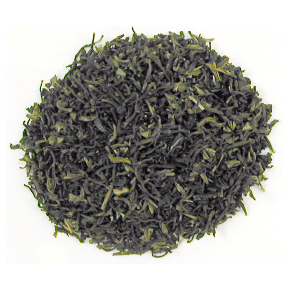 Dry Teal Leaves of dark green complexion on a white background