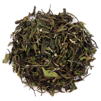 Dry green tea leaves on a white background