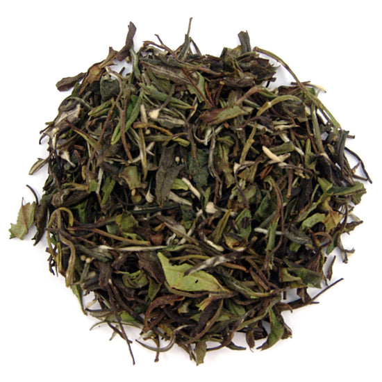 Dry green tea leaves on a white background