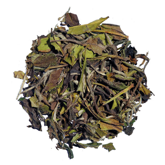 Dry tea leaves on a white background